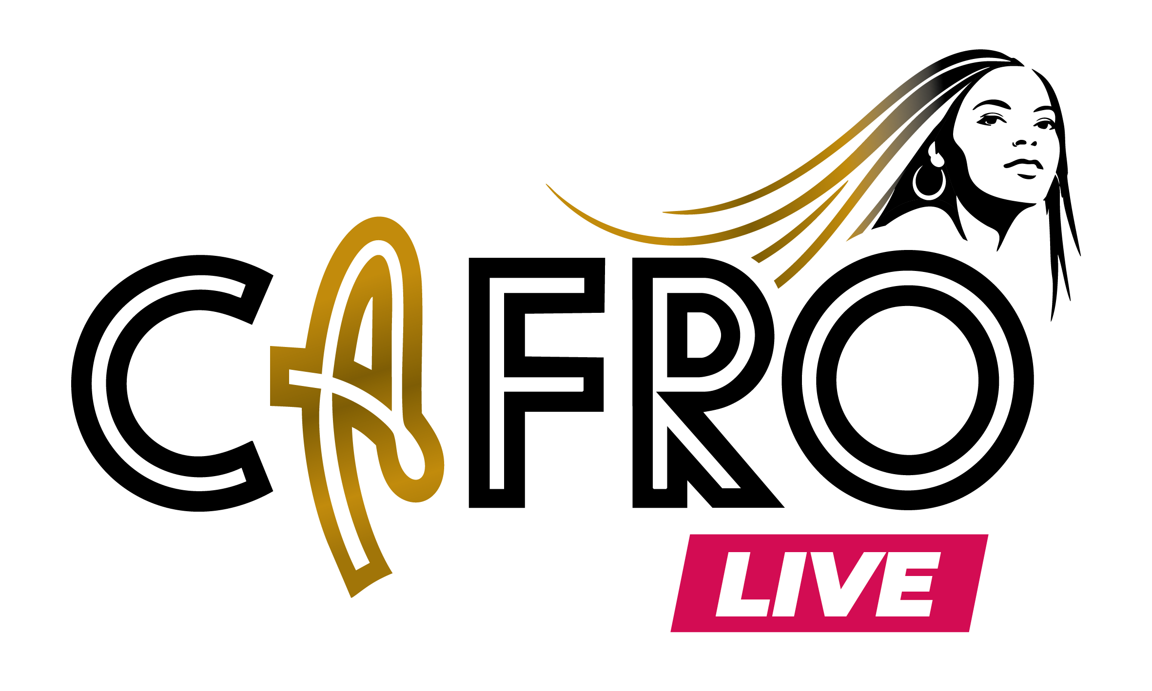 https://cafroform.fr/cafro-live/?fb-edit=1